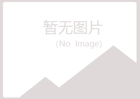 立山区浮尘会计有限公司